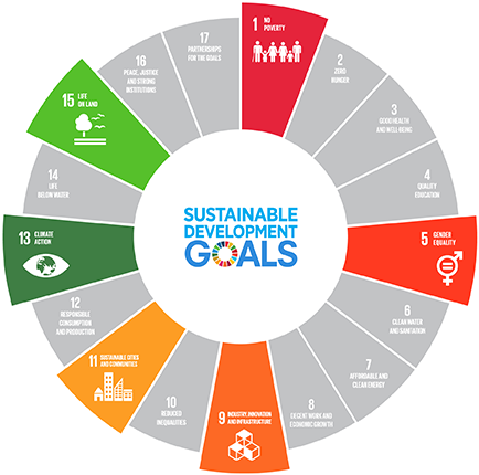 sustainable development goals